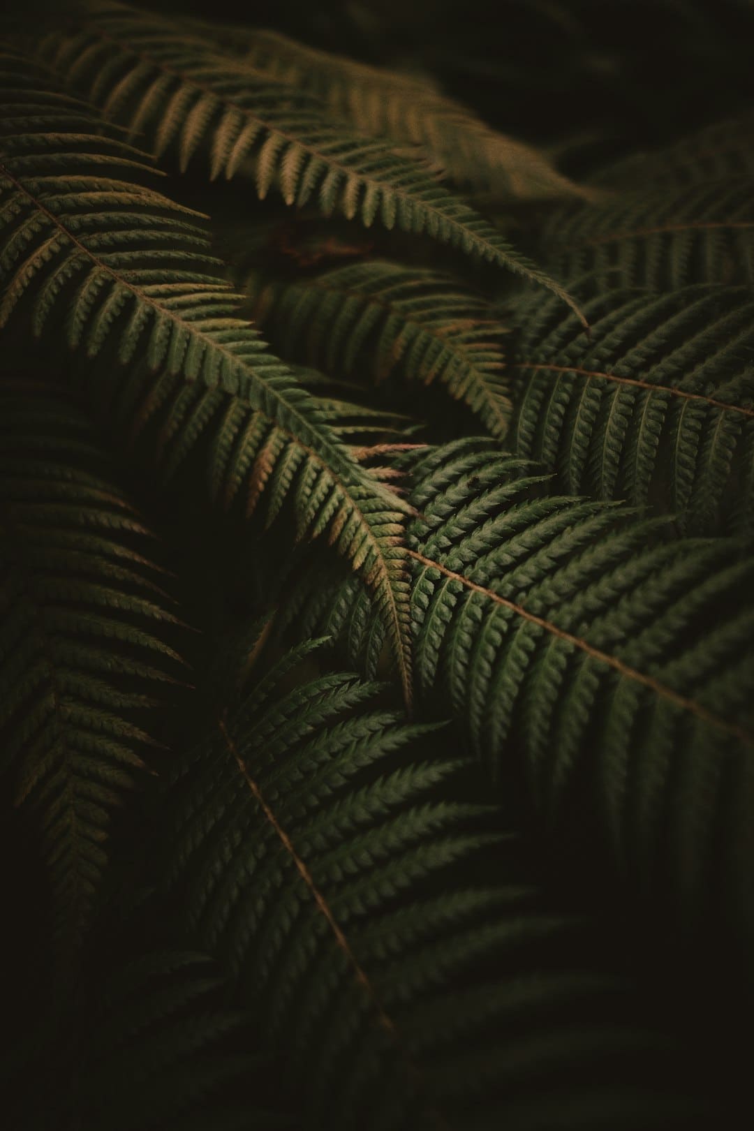 组织：支撑A股向好的中心逻辑未变
